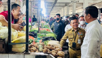Jokowi Puji Gubernur Jambi, Mendagri : Inflasinya Turun, Bagus Sekali